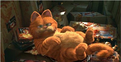 异国短毛猫-品系百科 异国短毛猫-品系百科